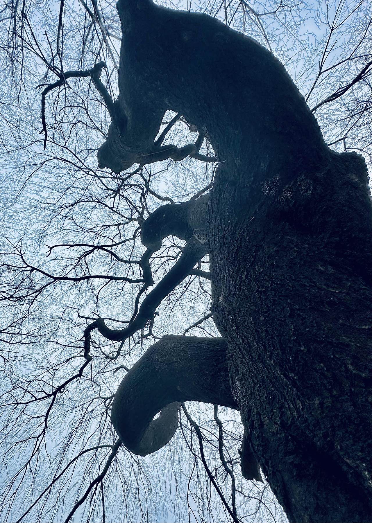 미도산 어머니.jpg