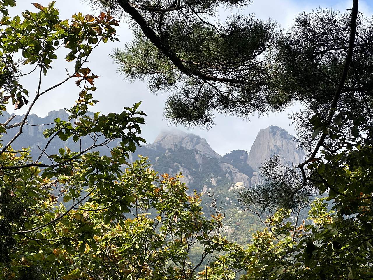 지성소 전망.jpg