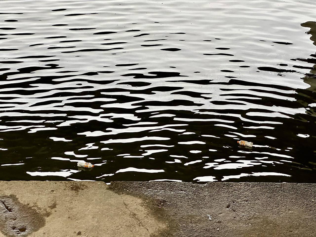 신움하는 강.jpg