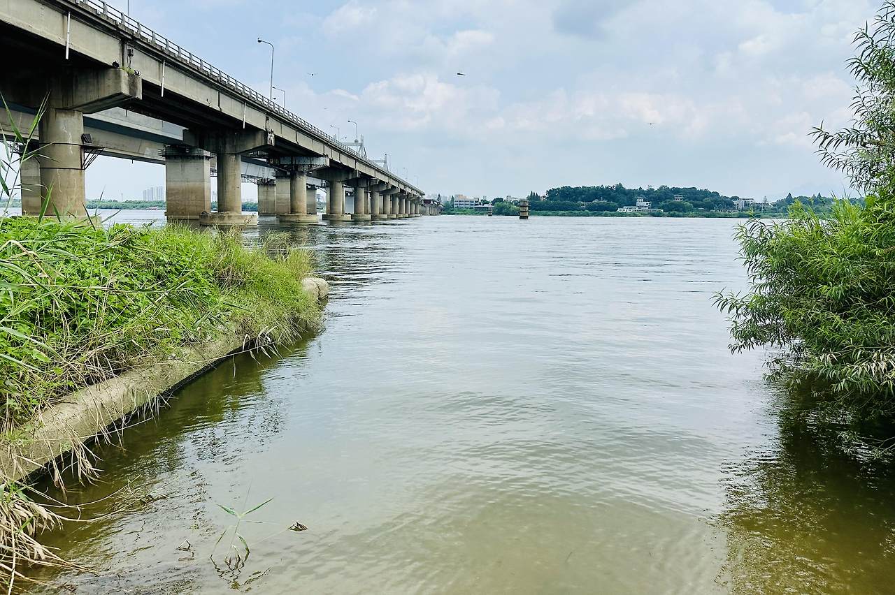 물모심 자리.jpg