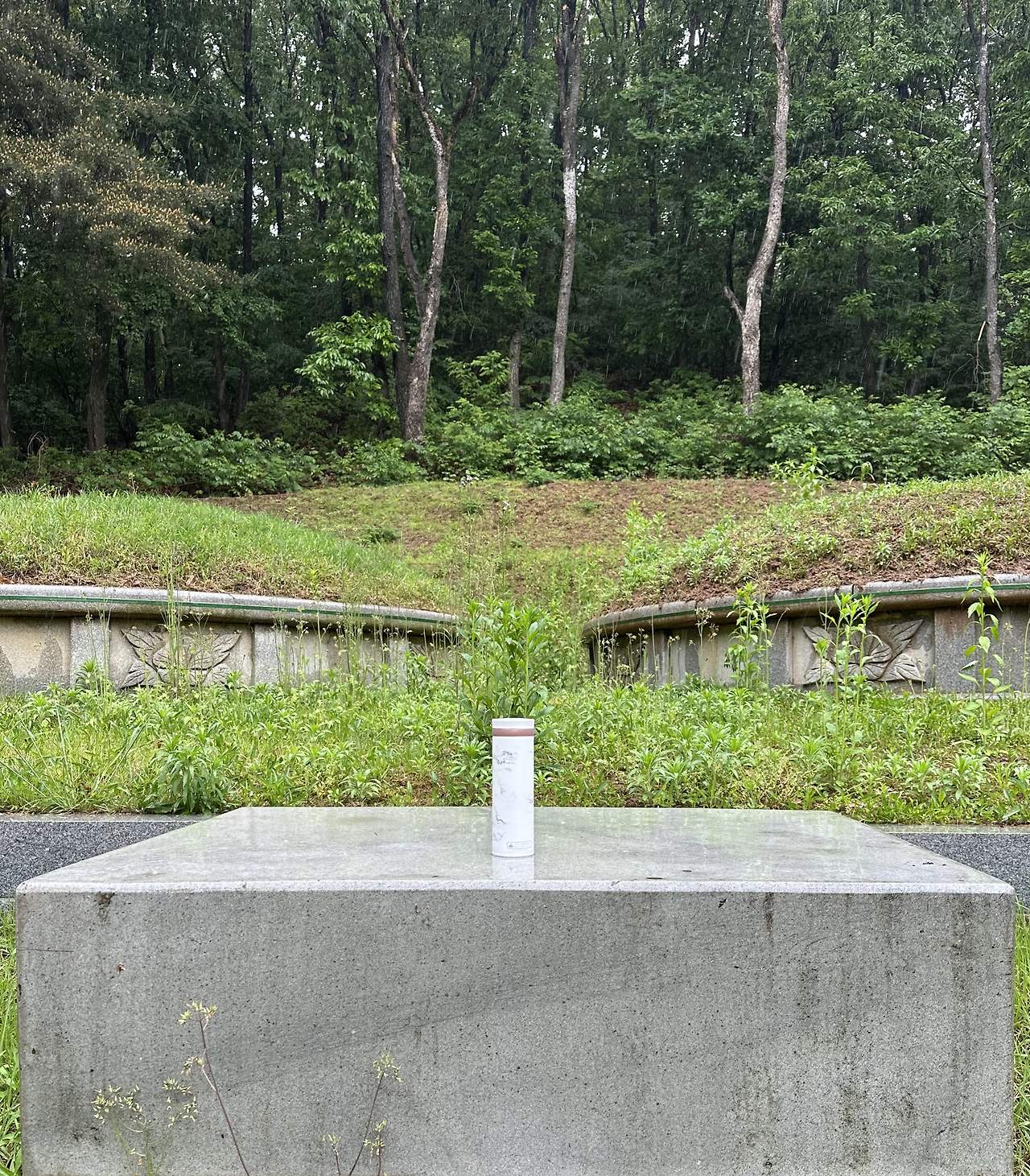 정정공 부부 유택.jpg