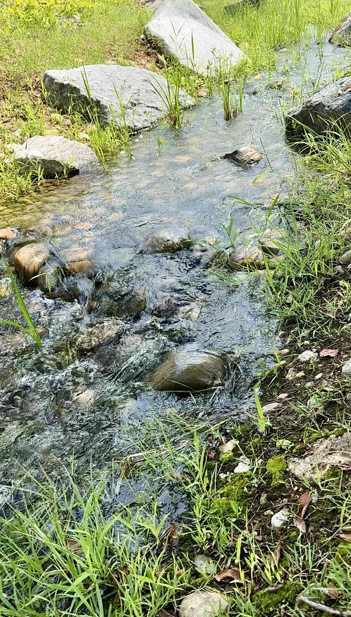 가짜 도랑에 끌려나온 물.jpg