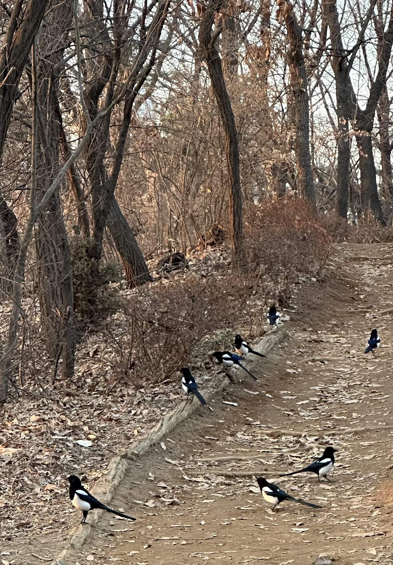 미도산 소식.jpg