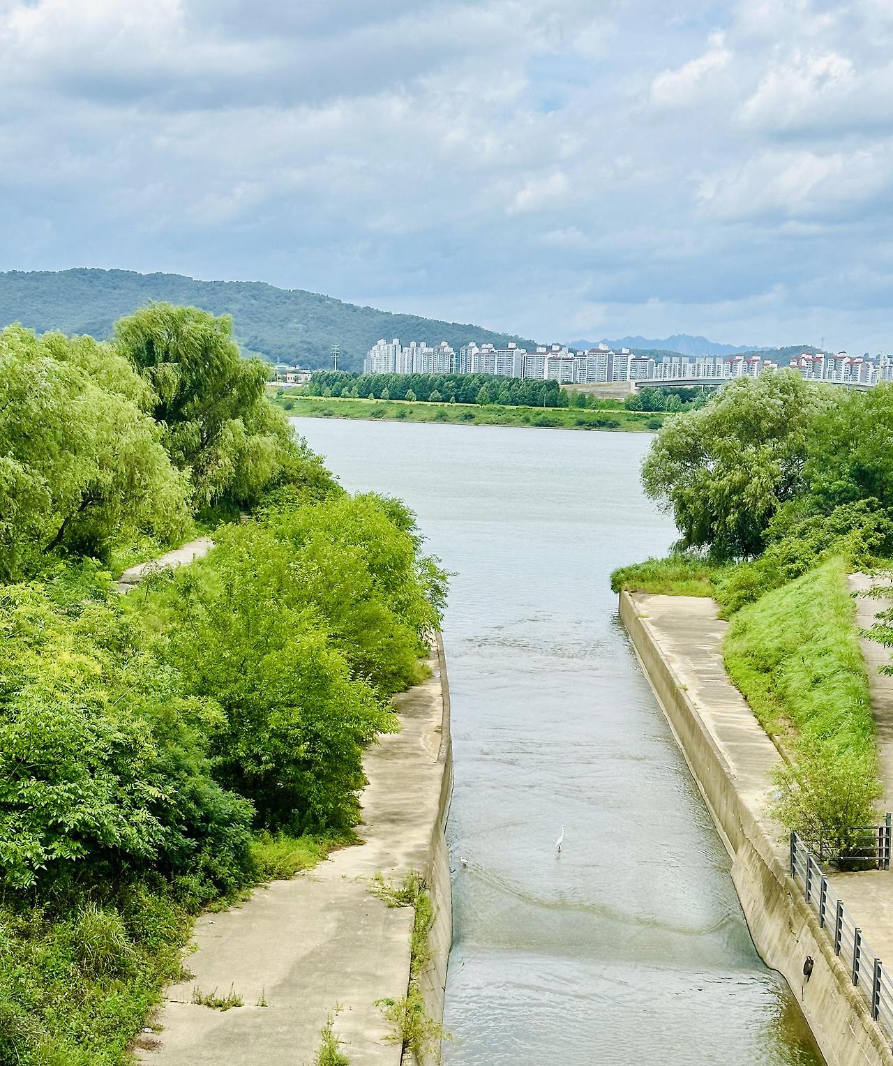고덕 두물머리.jpg