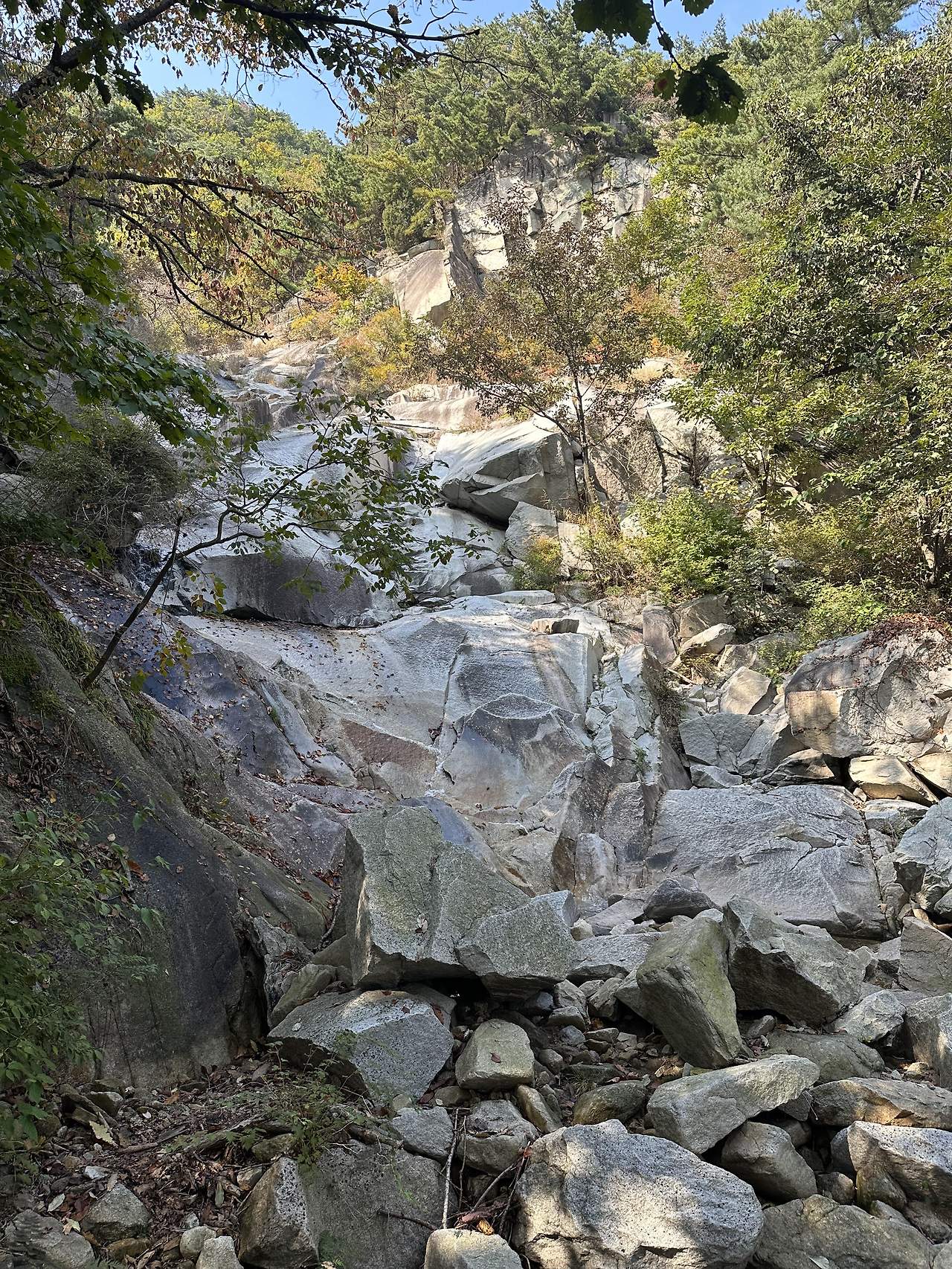 부엽토 발원지.jpg