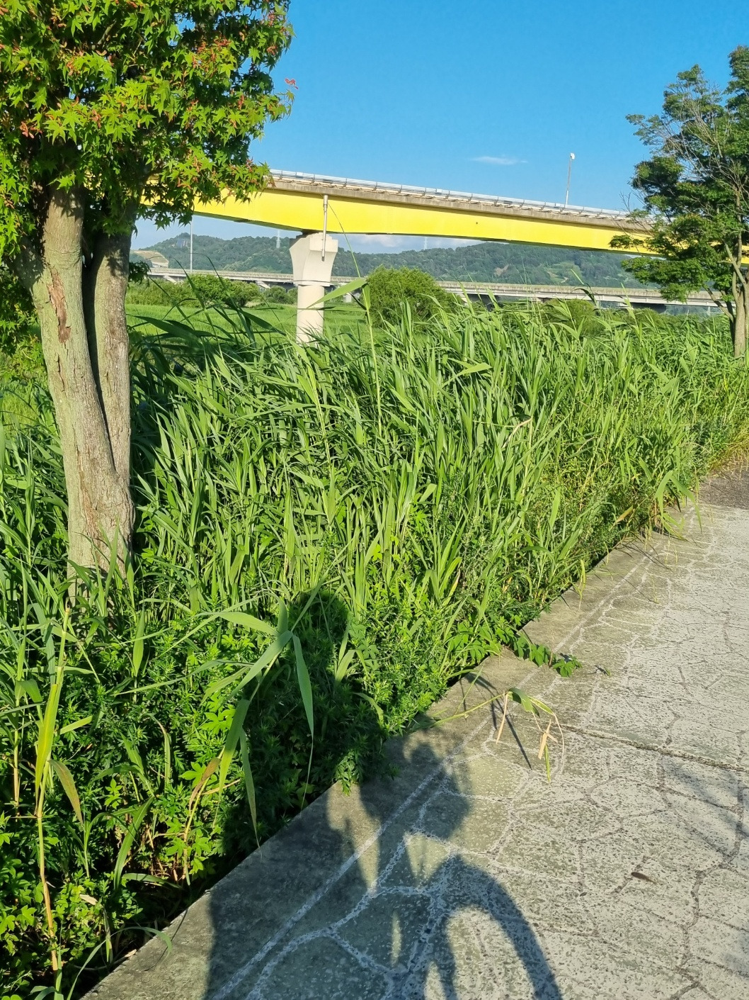 KakaoTalk_20240611_155024401_09 (1).jpg