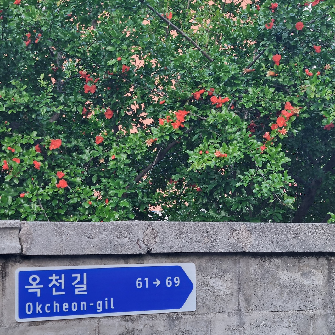 KakaoTalk_20240606_161515868_04 (1).jpg