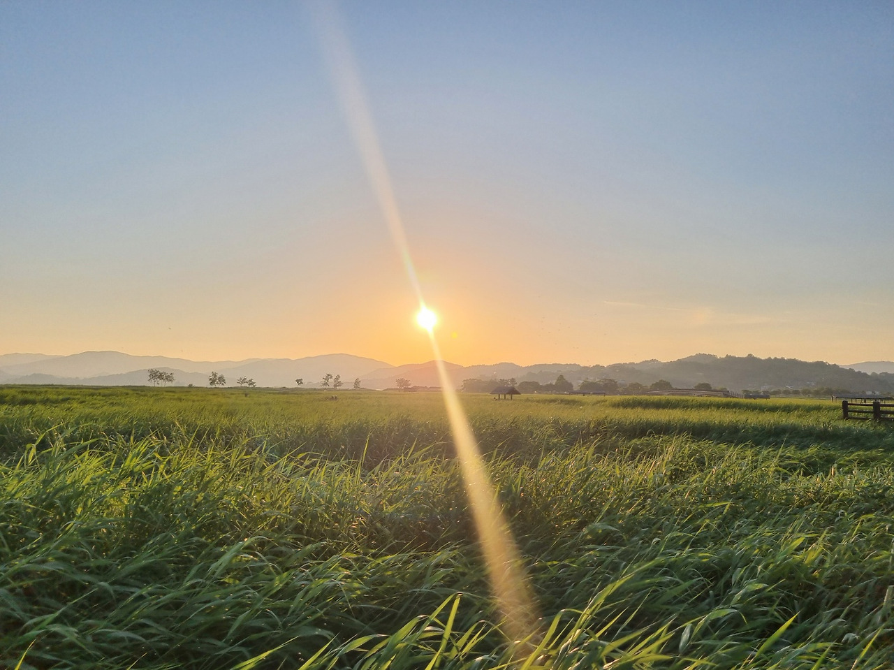 KakaoTalk_20240611_155024401_06 (1).jpg