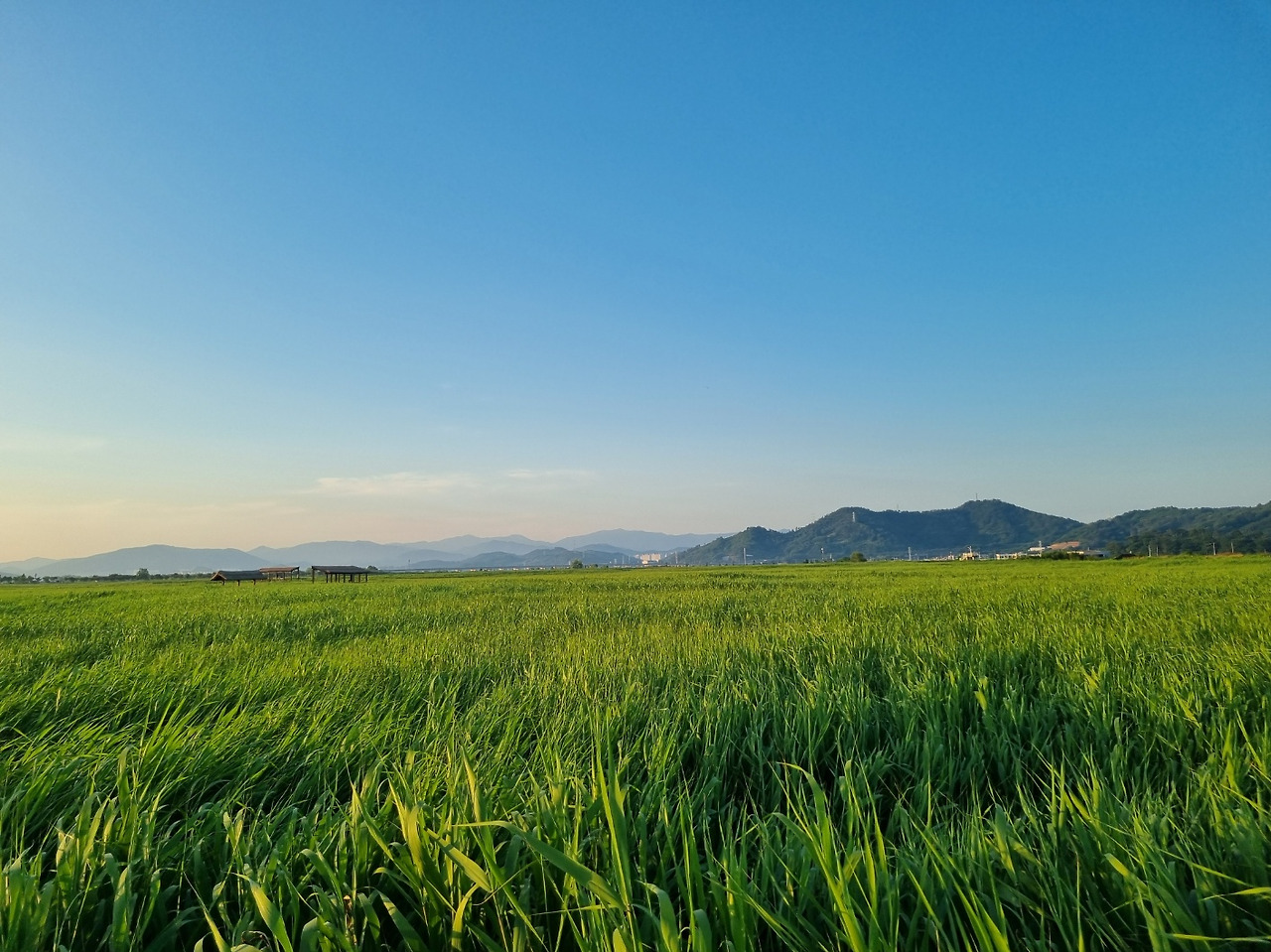 KakaoTalk_20240611_155024401_07 (1).jpg