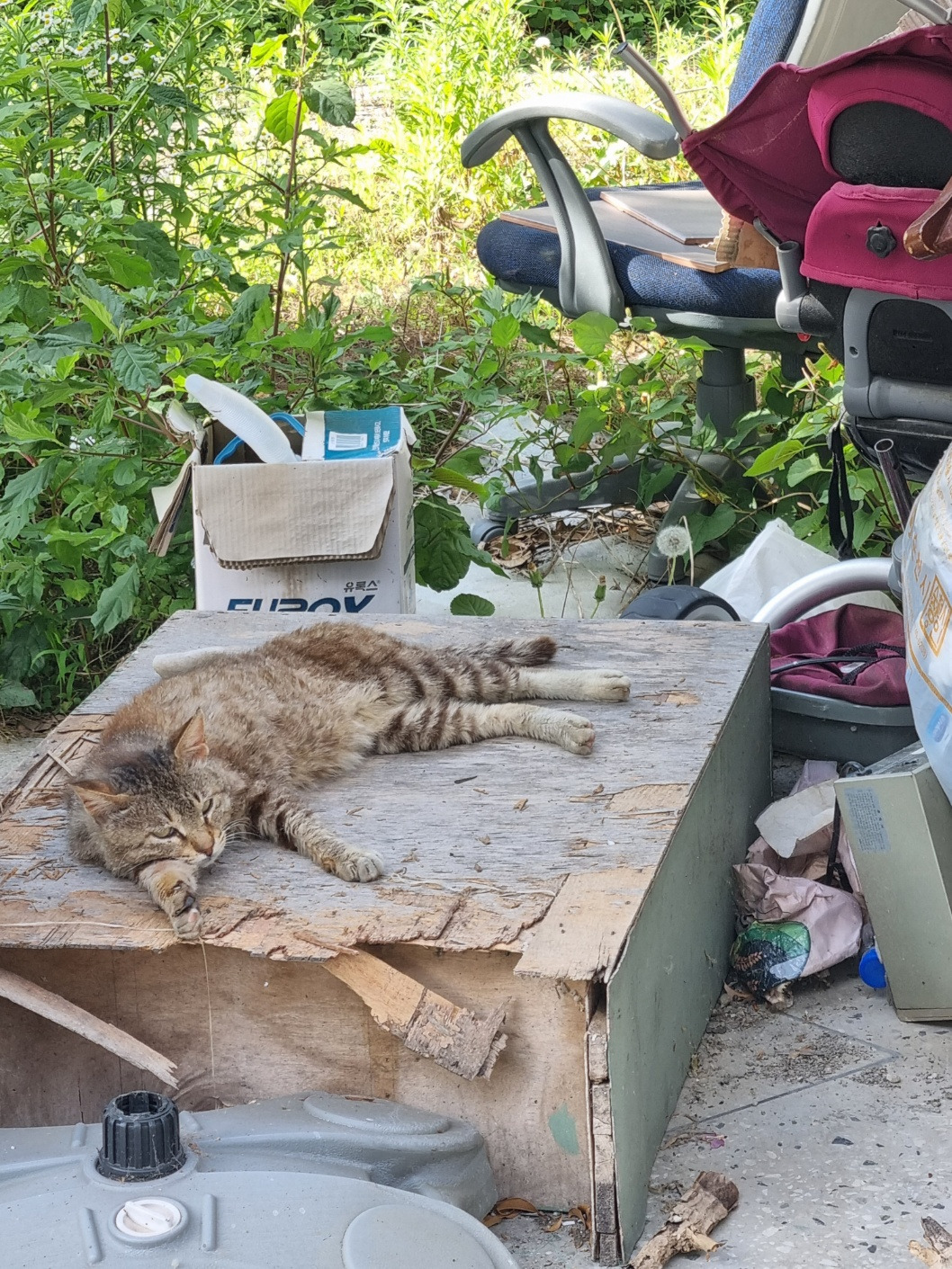 KakaoTalk_20240611_155024401_10 (1).jpg