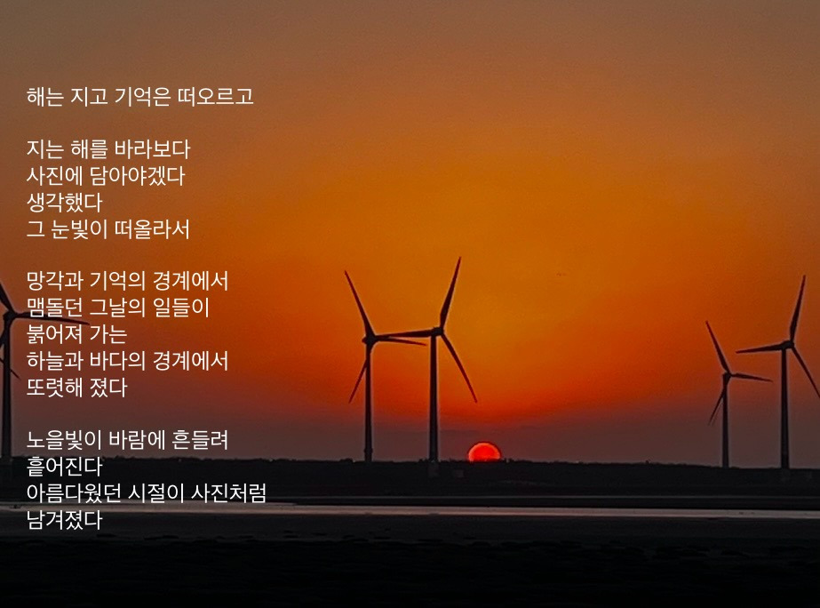 카지노 게임 사이트