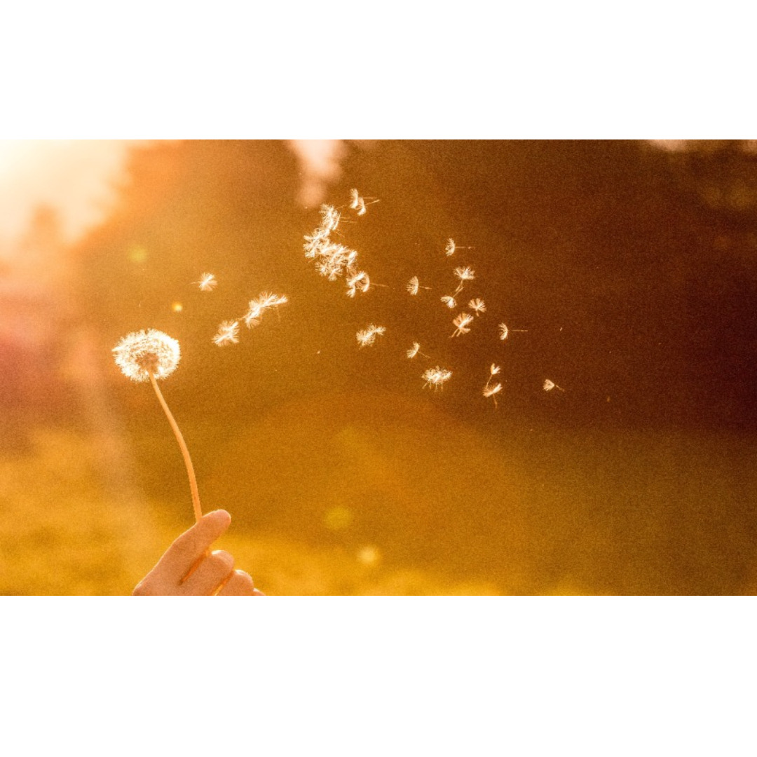 제목을 입력해주세요_-001 (9).jpg