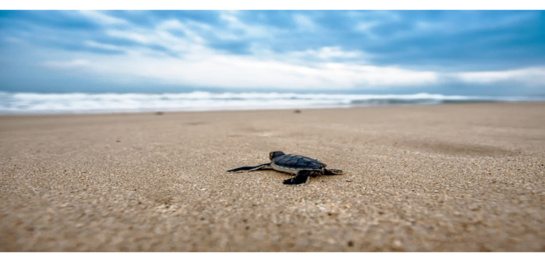 제목을 입력해주세요_-001 - 2022-12-25T142245.748.jpg