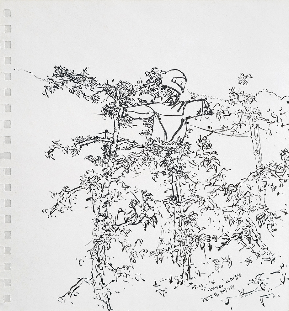 20160505 사과농장 허수아비_72.jpg