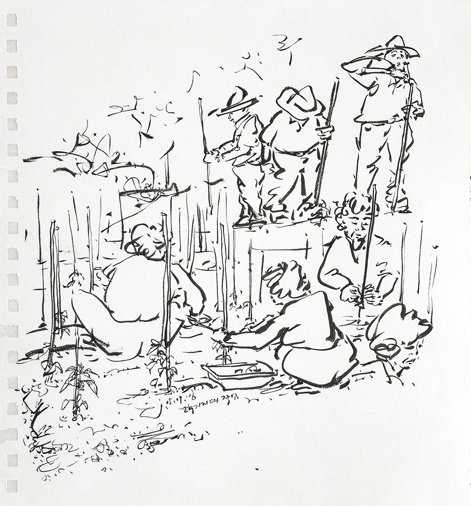 20160509 고추지지대 작업_72.jpg