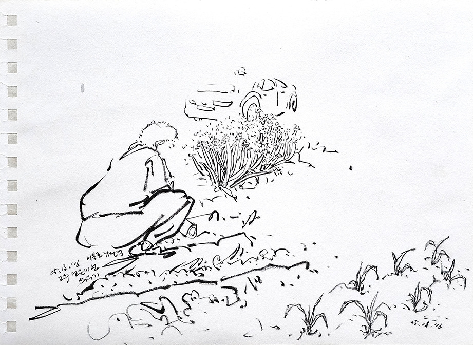 20160513 고추검은비닐씌우기_72.jpg