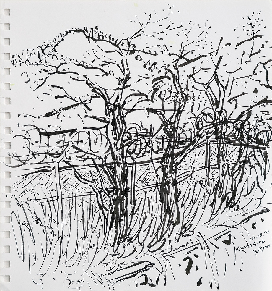 20160410 안대리 뒷산 길꼭대기_72.jpg