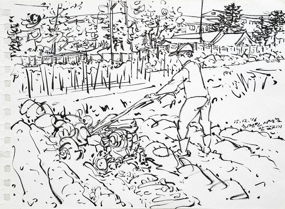 20160512 밭 갈리기_72.jpg