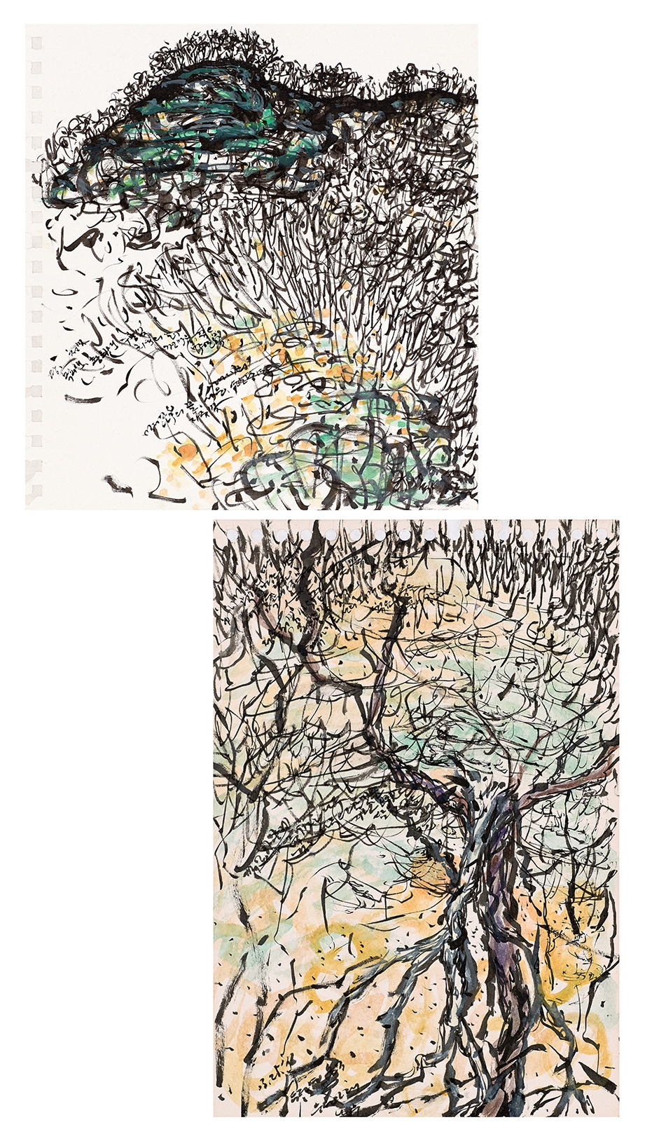 2016 능선 아래 나무 전체_72.jpg