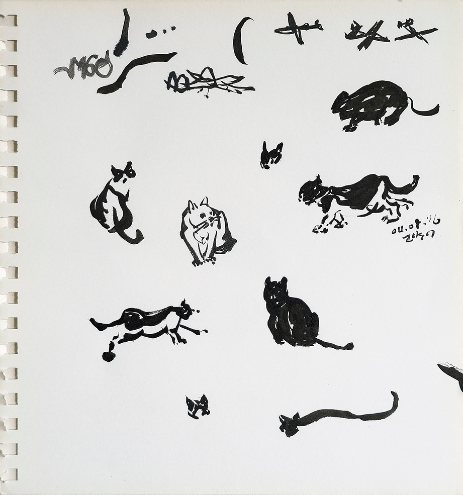 20160408_양구 고양이_72.jpg