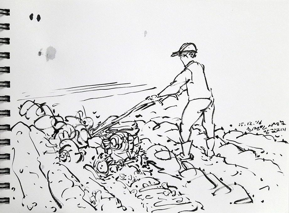 20160512 밭 갈리기 과정_72.jpg