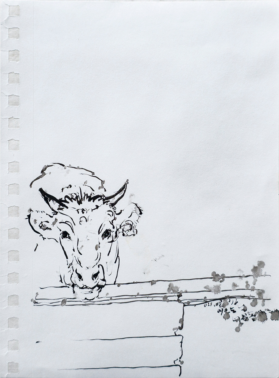 20160403_너분동 농장_72.jpg