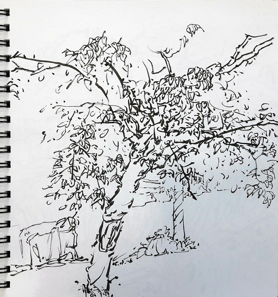 20160518 살구나무_72.jpg