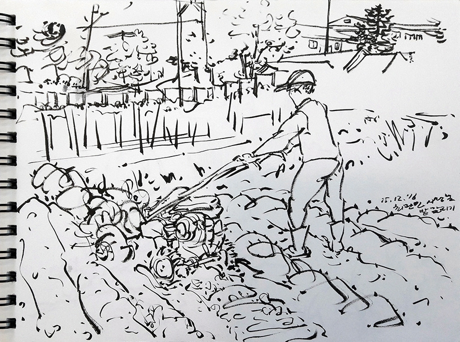 20160518 밭 갈리기 과정_72.jpg