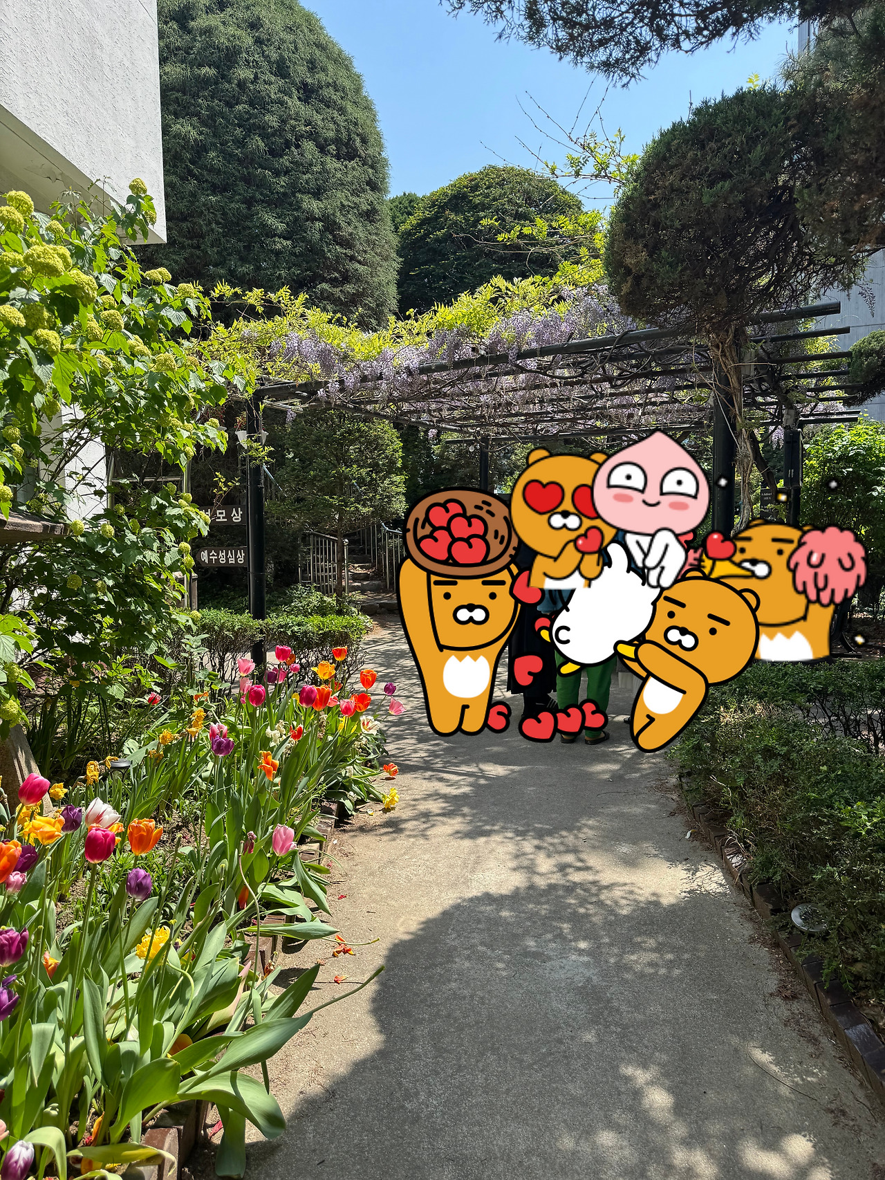 카지노 게임 추천