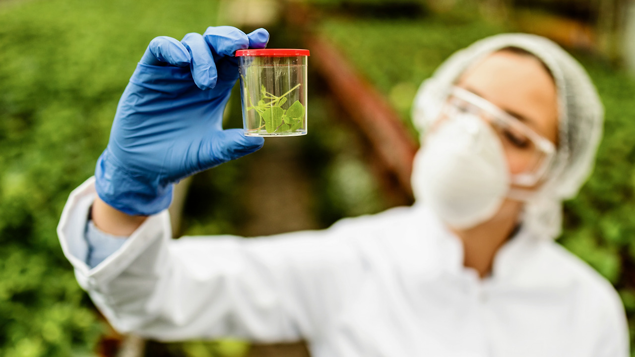 closeup-scientist-examining-sample-plant-test-bottle-while-working-greenhouse.jpg