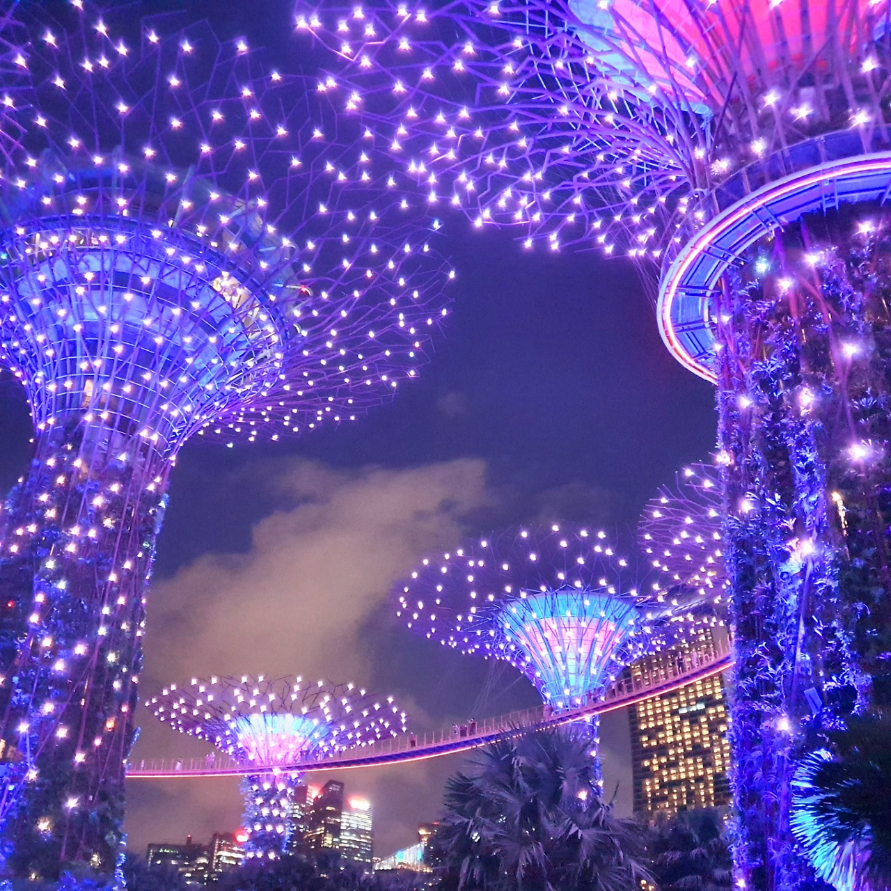 야경 필수코스 1.jpg