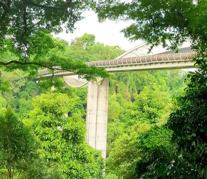 헨더슨 웨이브.jpg