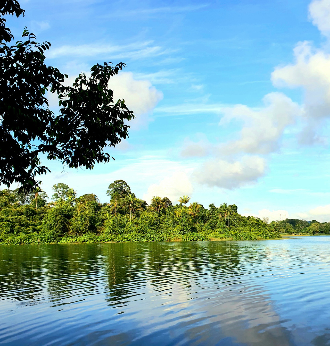 맥리치 리저브.jpg