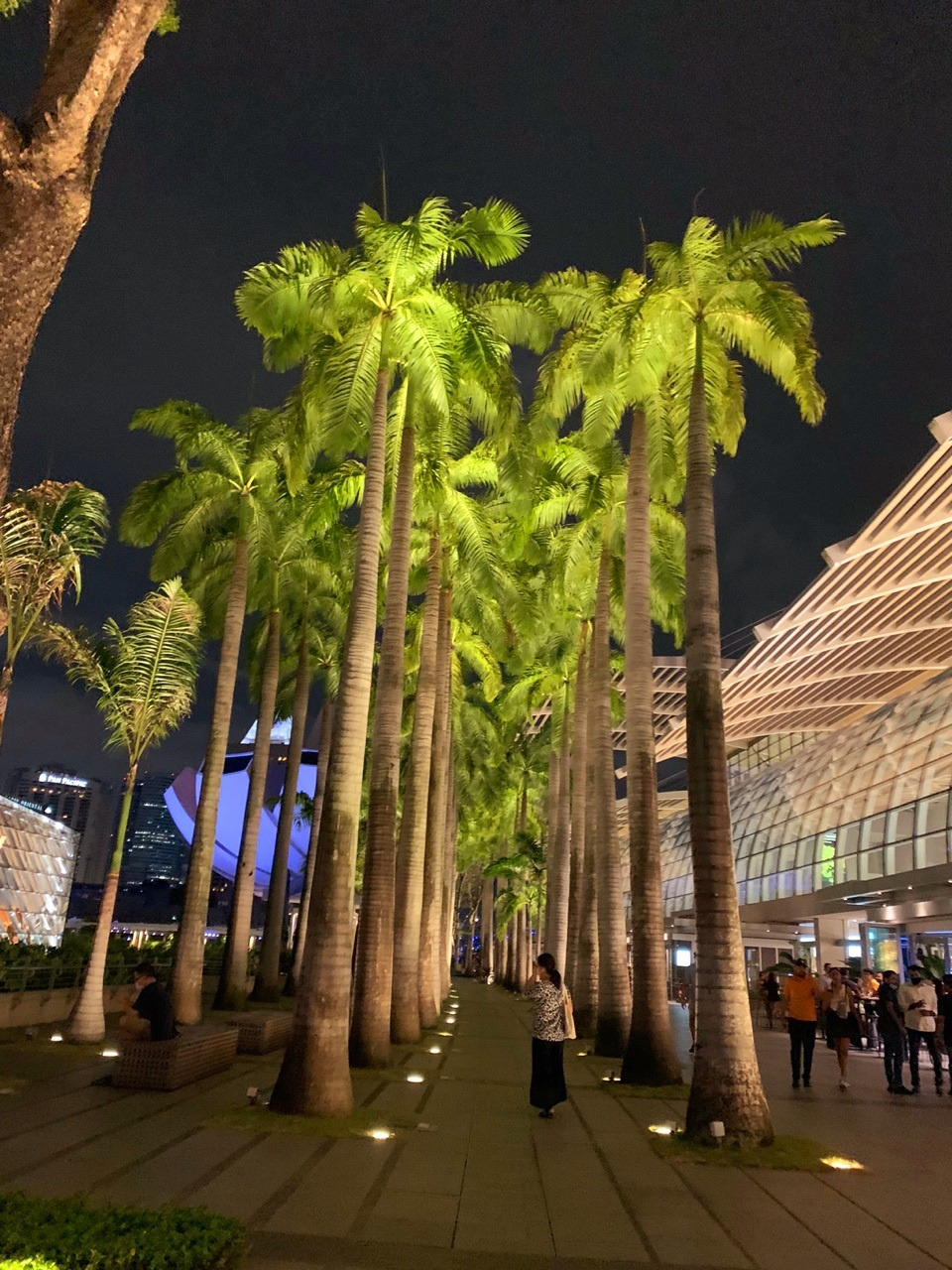 야경 필수코스 3.jpg