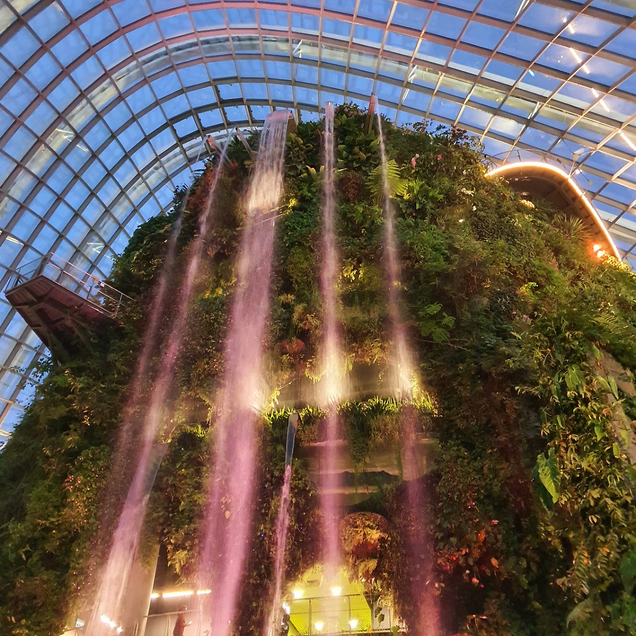 클라우드 포레스트1.jpg