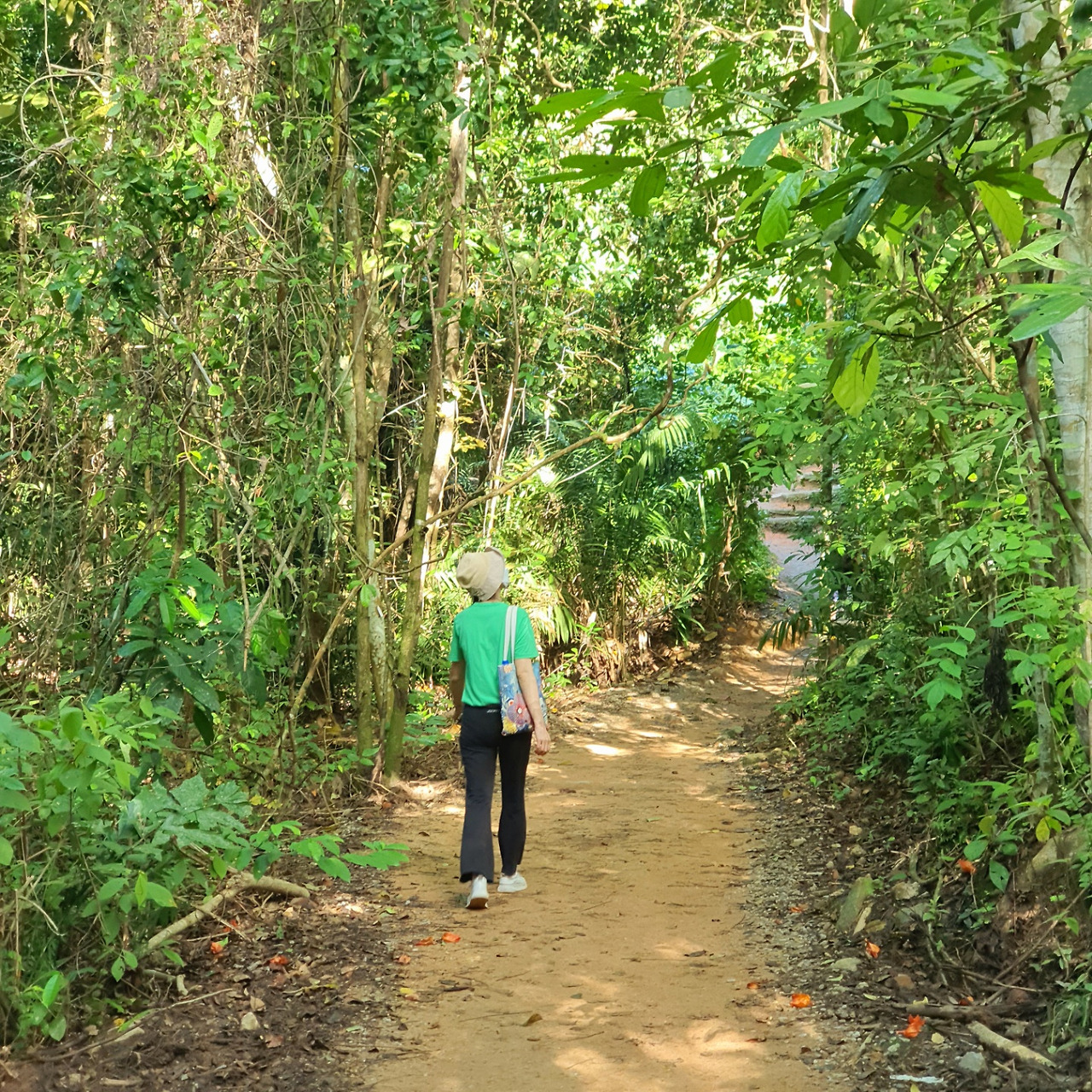 산책중인 제인.jpg
