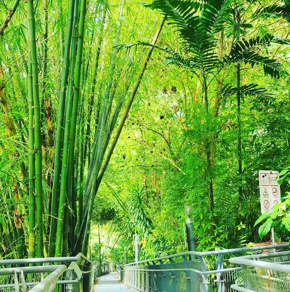 서던 릿지스.jpg