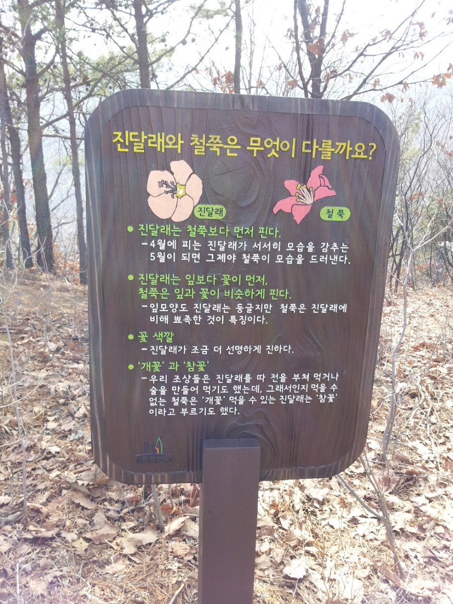 막날0.jpg