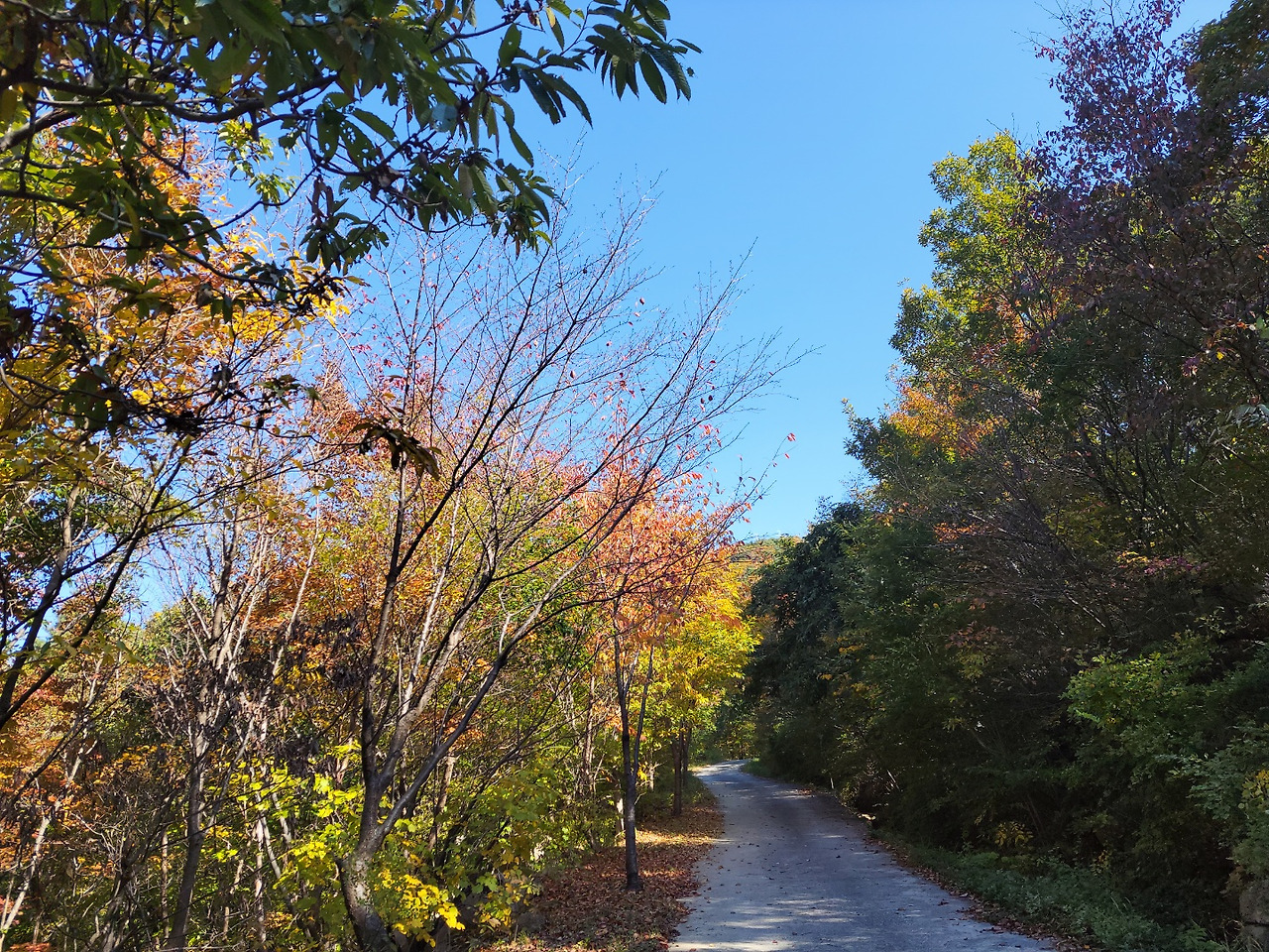 가을과 겨울 사이(금정산 둘레길).jpg