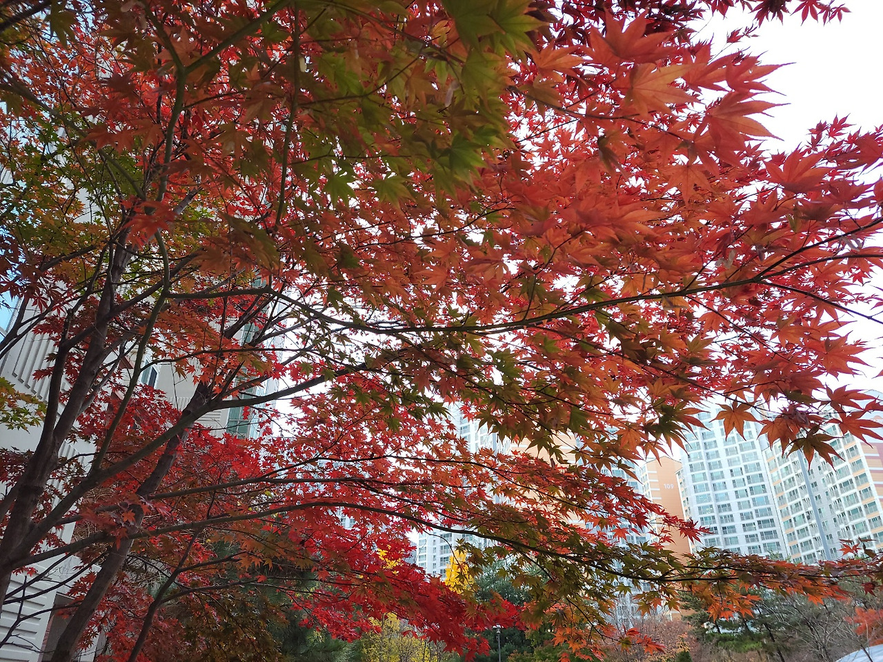 22년 신창패밀리 가을.jpg