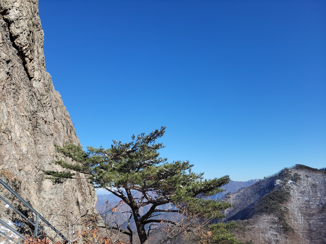 억산의 겨울 소나무와 하늘(221224).jpg