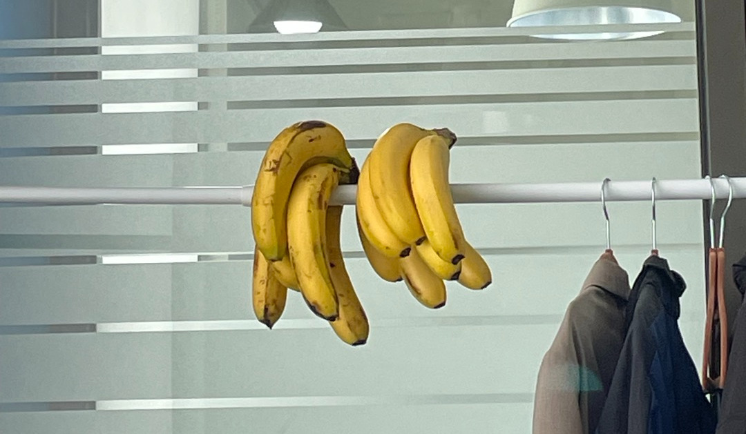 바나나크림브륄레가 되기 전 기다리는 바나나님들.jpg