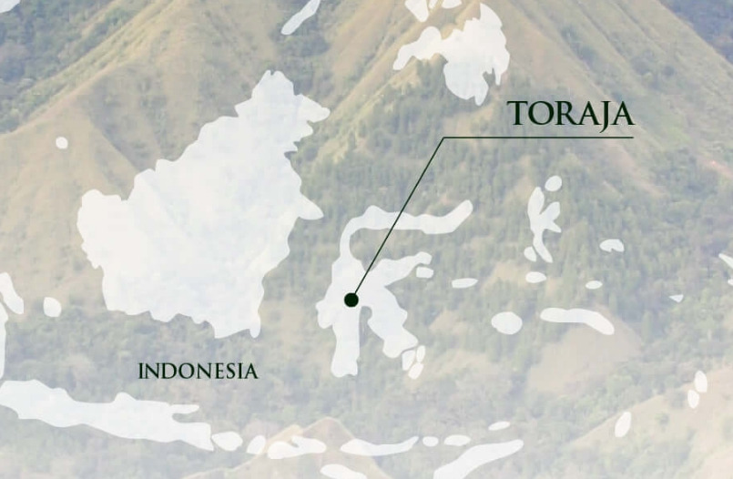 토라자지형.jpg