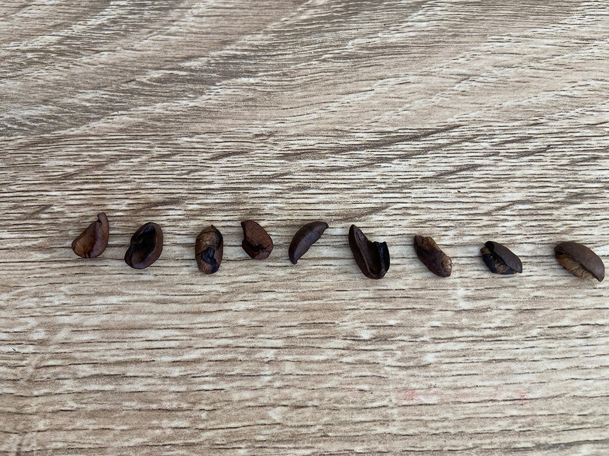 결점두 모음.jpg