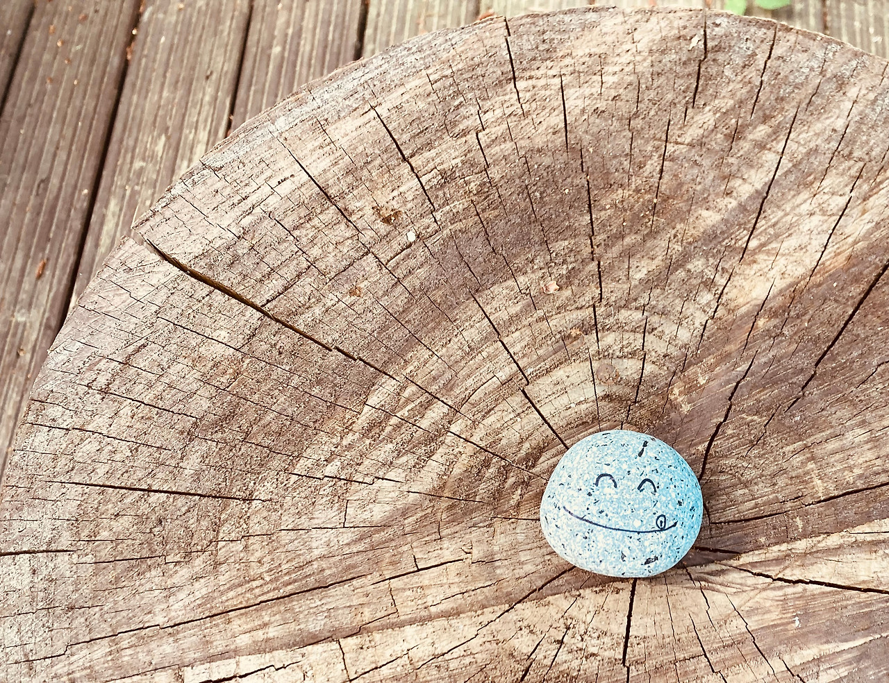 돌과 나이테.jpg