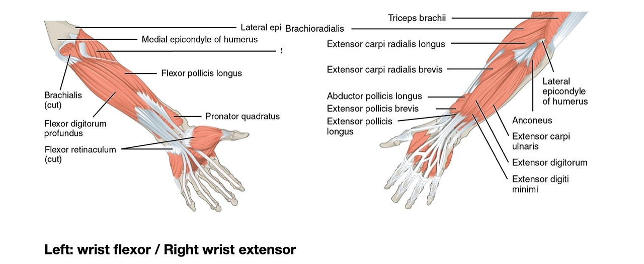 Screen Shot 2022-08-06 at 7.55.45 PM.jpg