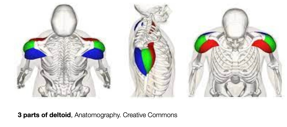 Screen Shot 2022-08-06 at 7.54.58 PM.jpg