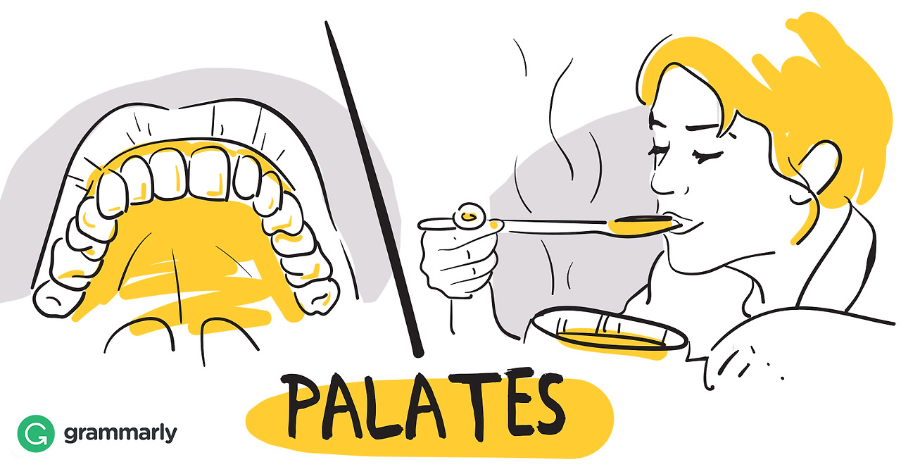 PALATES1.jpg