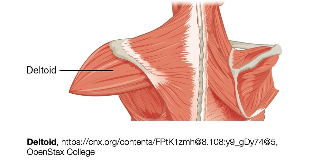 Screen Shot 2022-08-06 at 7.54.44 PM.jpg