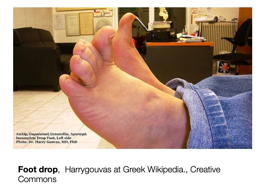 Screen Shot 2022-08-06 at 8.00.40 PM.jpg